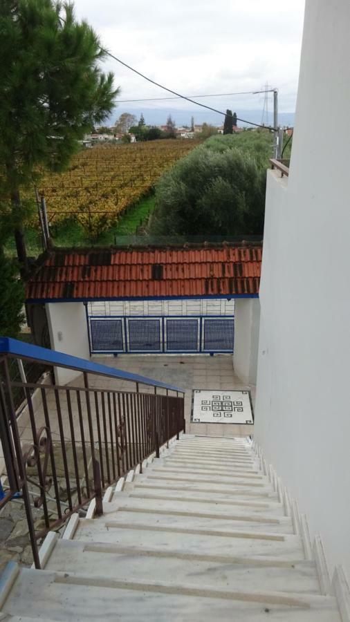 Káto Ássos Kostas Family House 아파트 외부 사진